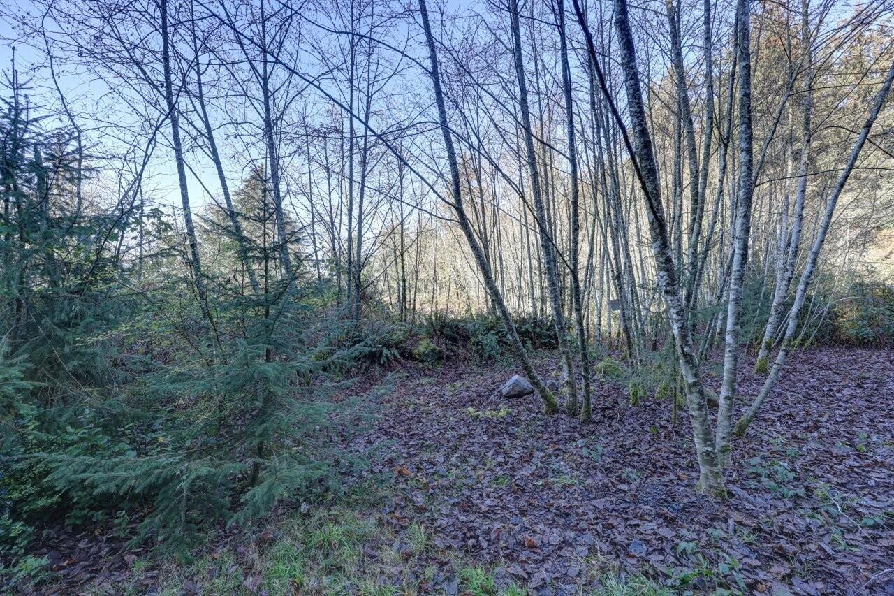 Lot 68 Bay View Road Astoria, OR 97103 - Photo 11 of 40 Karla Neh Pt Lot 1