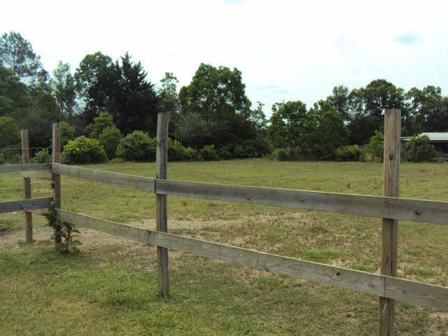 14143 Baptist Ball Park Road Stapleton, AL 36578 - Photo 3 of 21