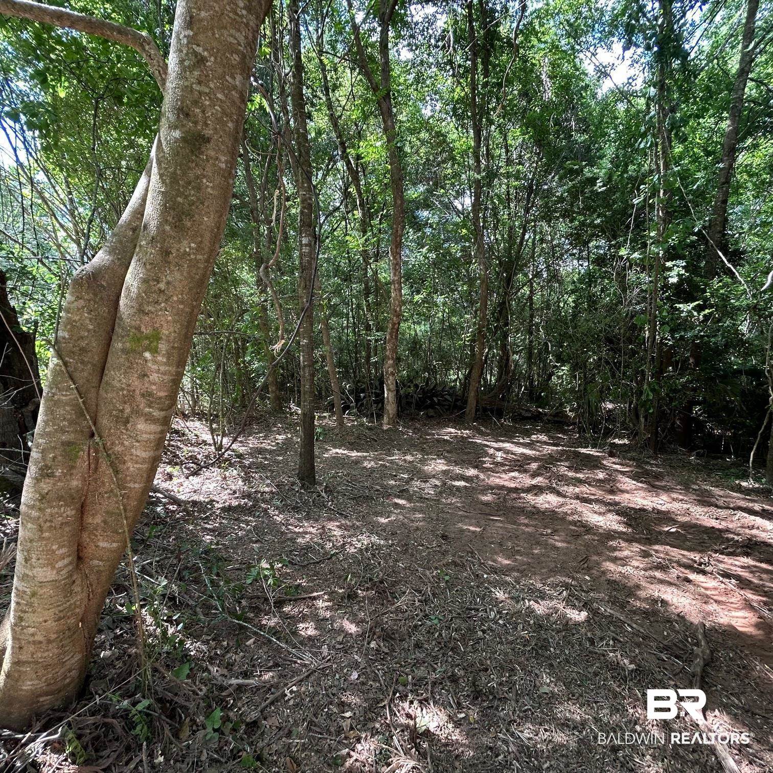 23587 Cowling Road Robertsdale, AL 36567 - Photo 24 of 40 Gallery Image 24