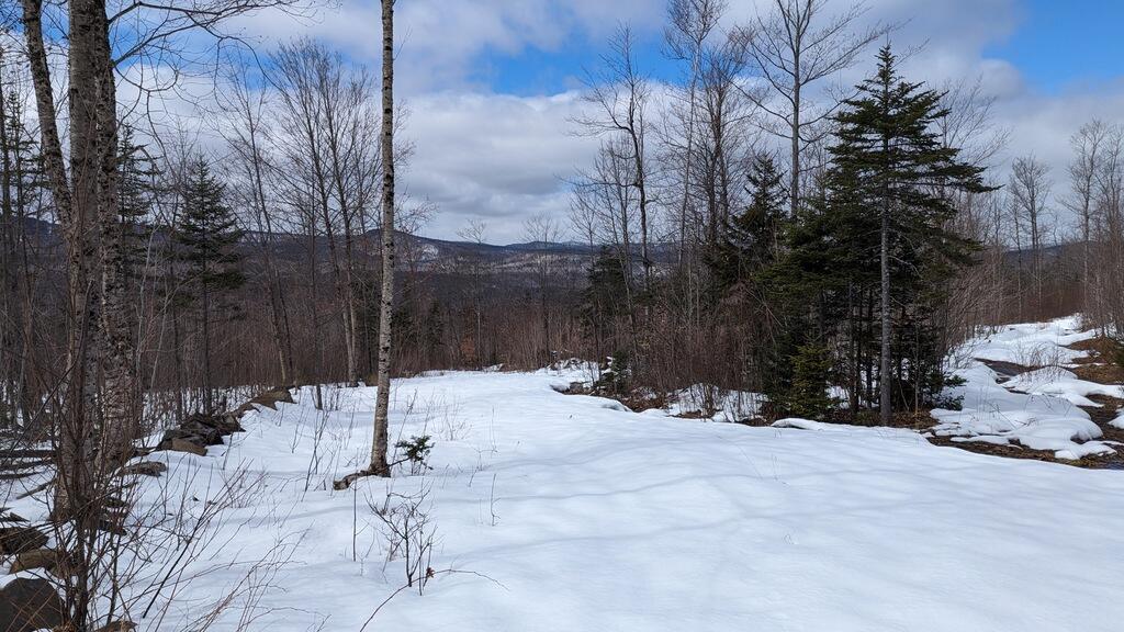 Lot 9 Pinkham Hill Road Phillips, ME 04966 - Photo 8 of 23 017