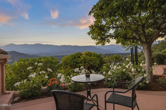 a view of a backyard with table and chairs and potted plants