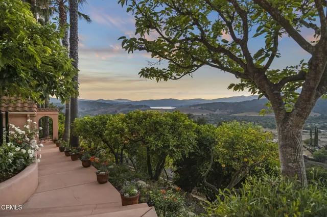 a view of a city with large trees