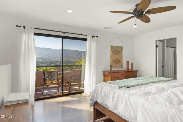 a view of a yard with large trees