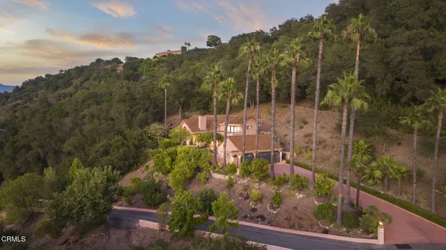 a view of a city with flower garden