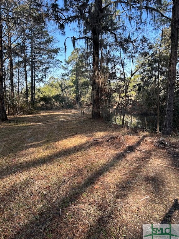 309 Salt Creek Road Savannah, GA 31405 - Photo 30 of 39 Gallery Image 30