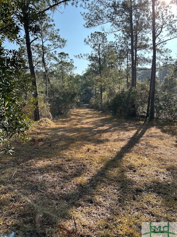309 Salt Creek Road Savannah, GA 31405 - Photo 31 of 39 Gallery Image 31
