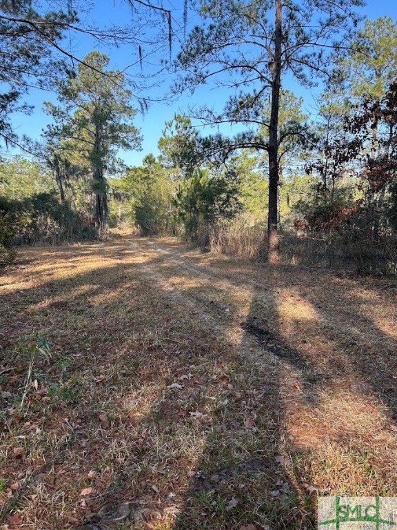 309 Salt Creek Road Savannah, GA 31405 - Photo 32 of 39 Gallery Image 32