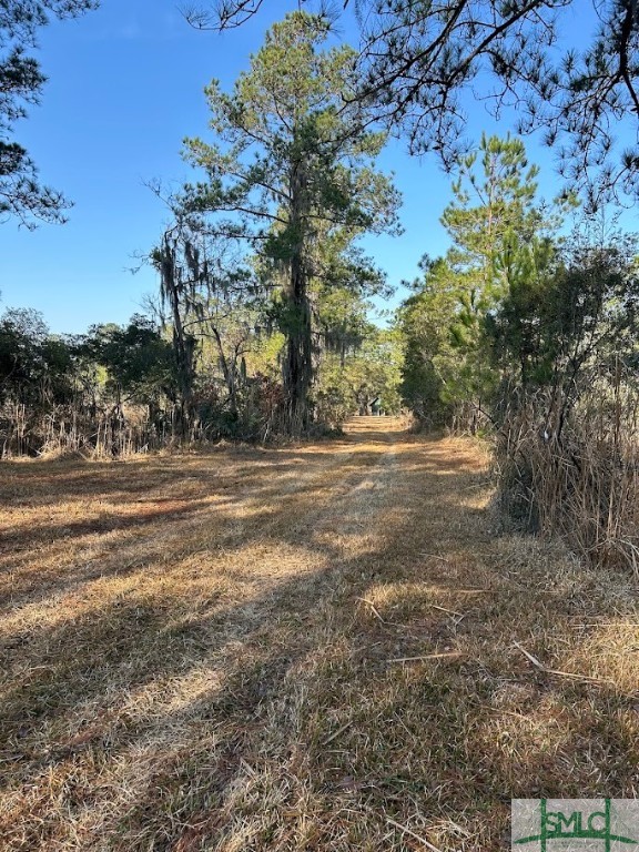 309 Salt Creek Road Savannah, GA 31405 - Photo 33 of 39 Gallery Image 33