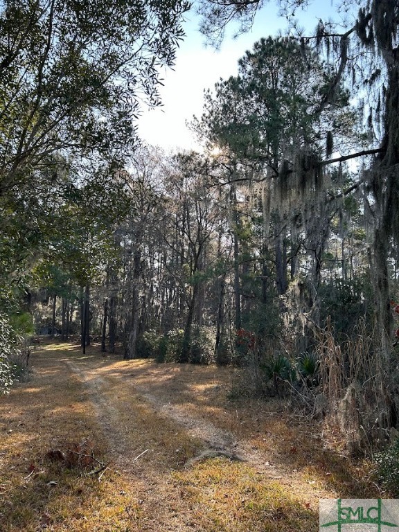 309 Salt Creek Road Savannah, GA 31405 - Photo 34 of 39 Gallery Image 34