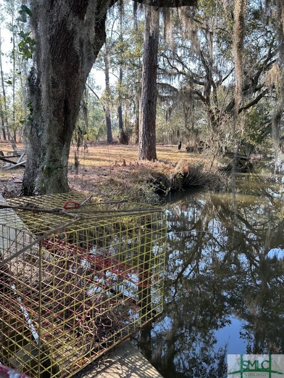 309 Salt Creek Road Savannah, GA 31405 - Photo 37 of 39 Gallery Image 37