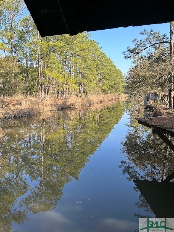 309 Salt Creek Road Savannah, GA 31405 - Photo 38 of 39 Gallery Image 38