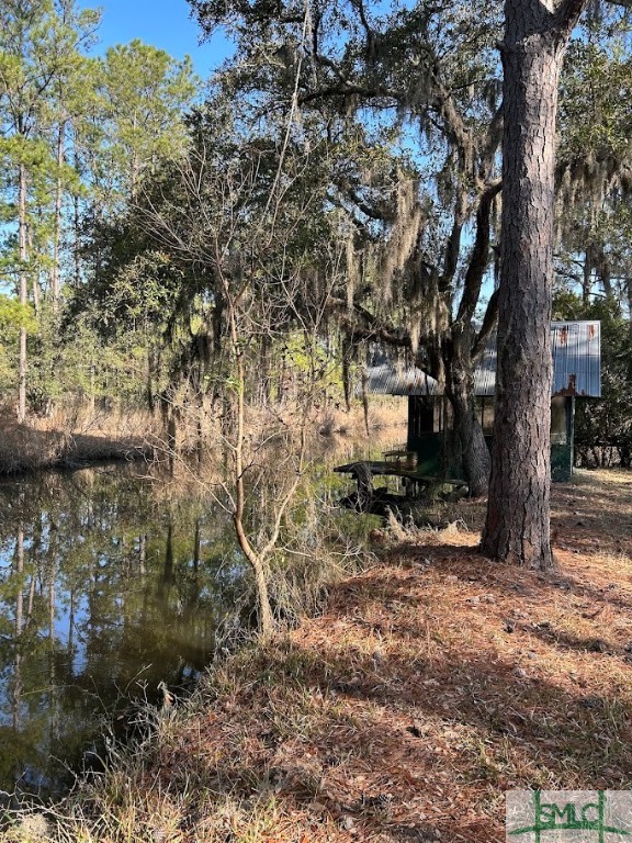 309 Salt Creek Road Savannah, GA 31405 - Photo 39 of 39 Gallery Image 39