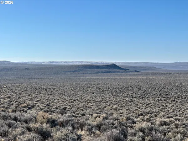 a view of a dry yard with mountains in the background