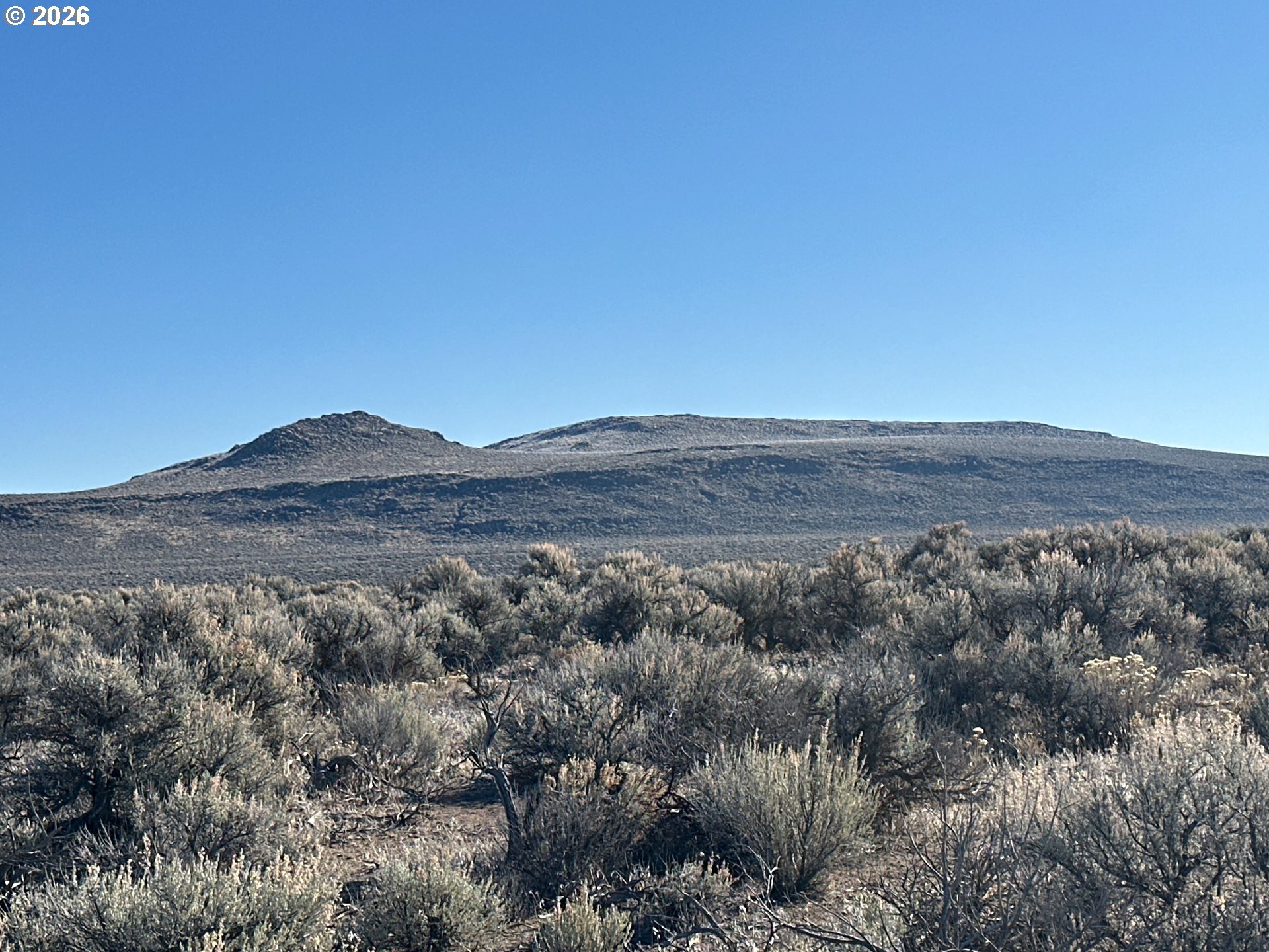 South Fandango Road, Unit 2100 Christmas Valley, OR 97641 - Photo 3 of 33 a view of mountain and tree