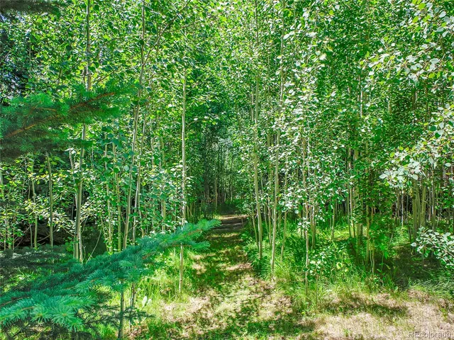 a view of playground with a small garden