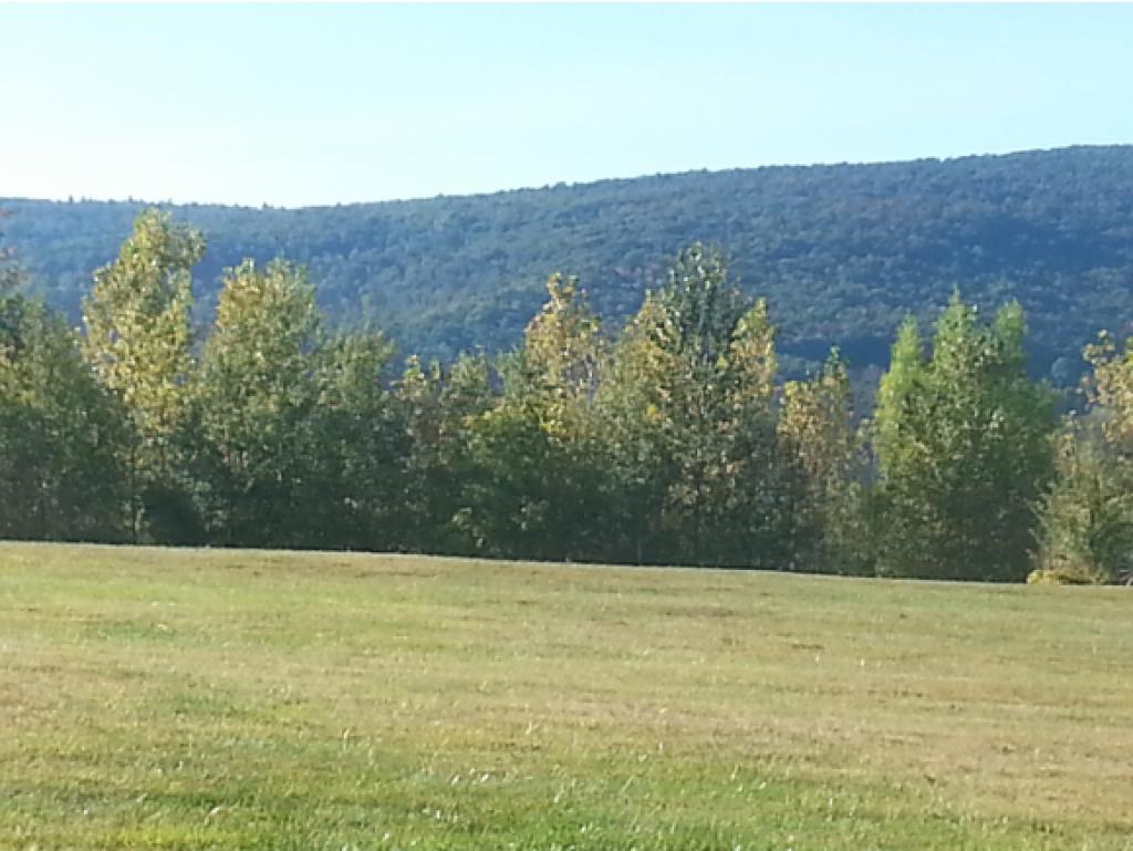 North Road, Unit AA & BB Sunderland, VT 05250 - Photo 2 of 3 Gallery Image 2