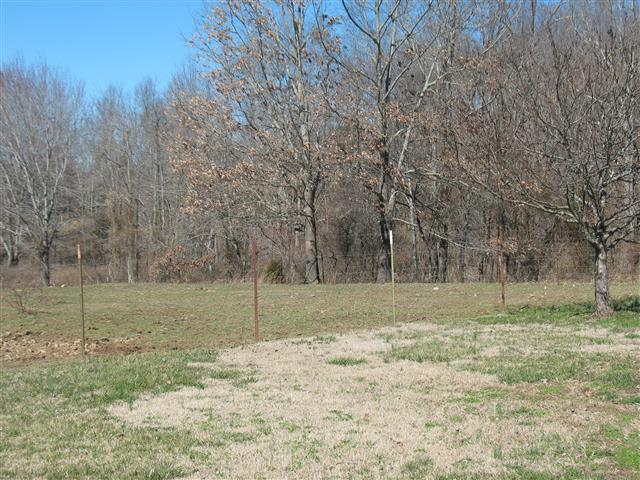 175 Tomsic Road Indian Mound, TN 37079 - Photo 19 of 20 Gallery Image 19