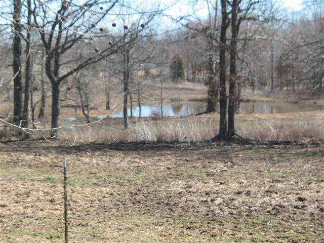 175 Tomsic Road Indian Mound, TN 37079 - Photo 5 of 20 Gallery Image 5