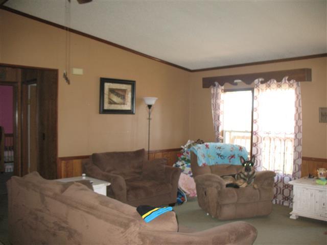 175 Tomsic Road Indian Mound, TN 37079 - Photo 7 of 20 Gallery Image 7