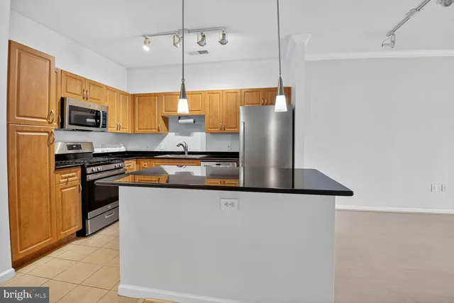 a kitchen with stainless steel appliances granite countertop a sink and a refrigerator