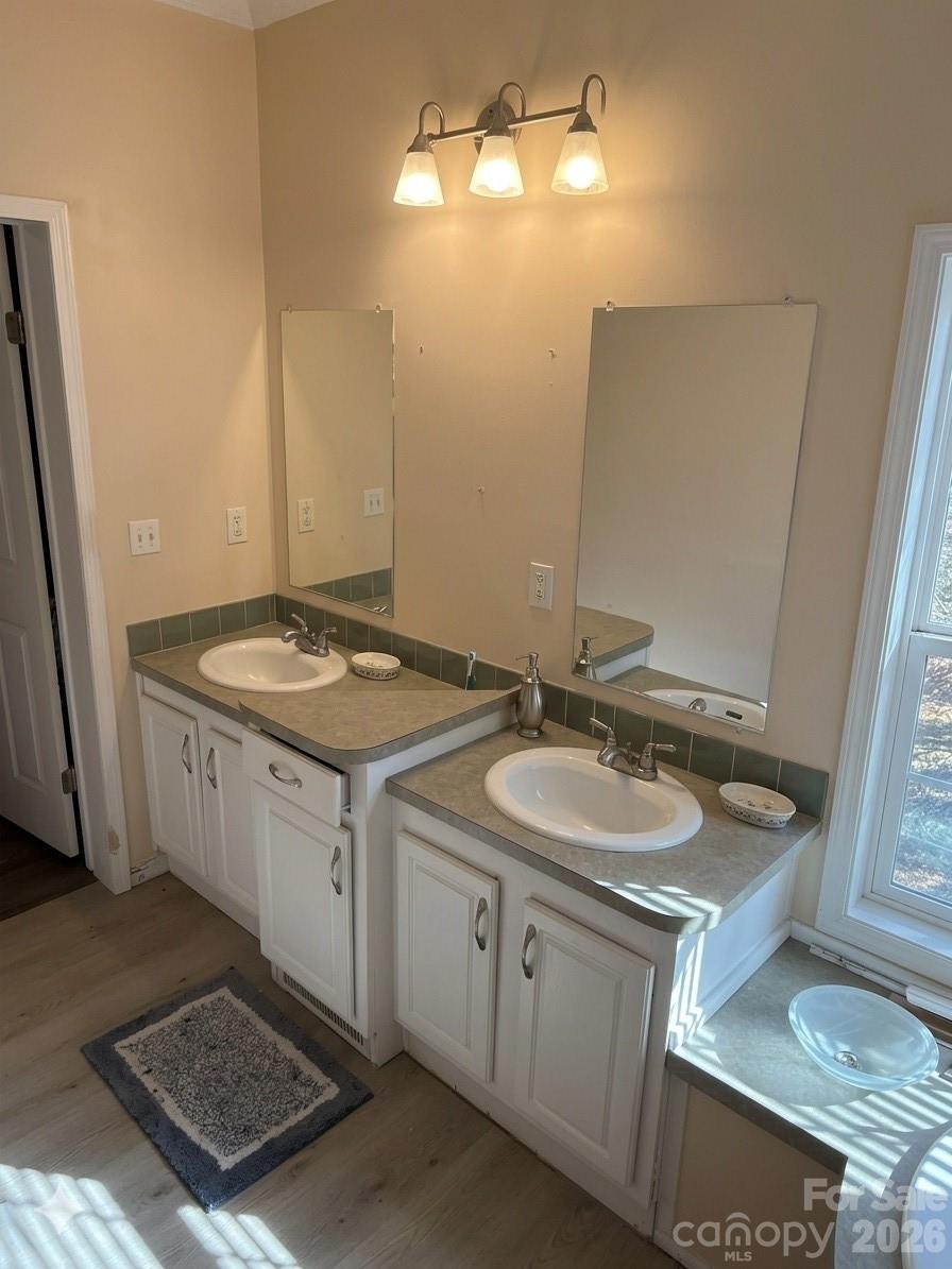 3233 Alamo Drive Trinity, NC 27370 - Photo 10 of 15 a bathroom with double sink and a mirror