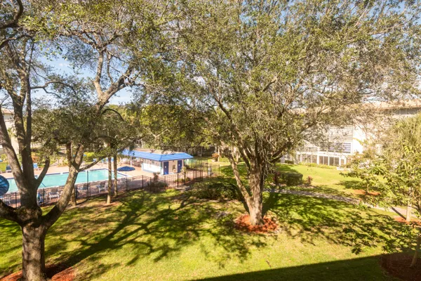 a view of a yard with large trees