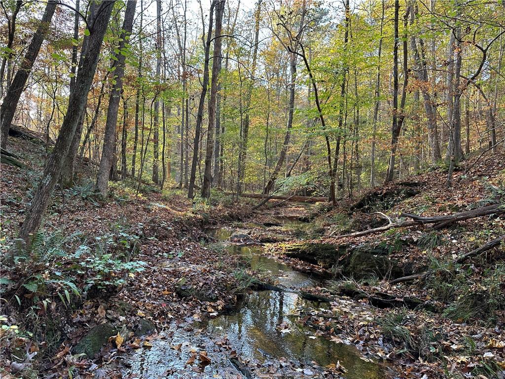 1806 Browning Road Rockmart, GA 30153 - Photo 21 of 97