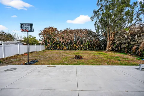 a view of a yard