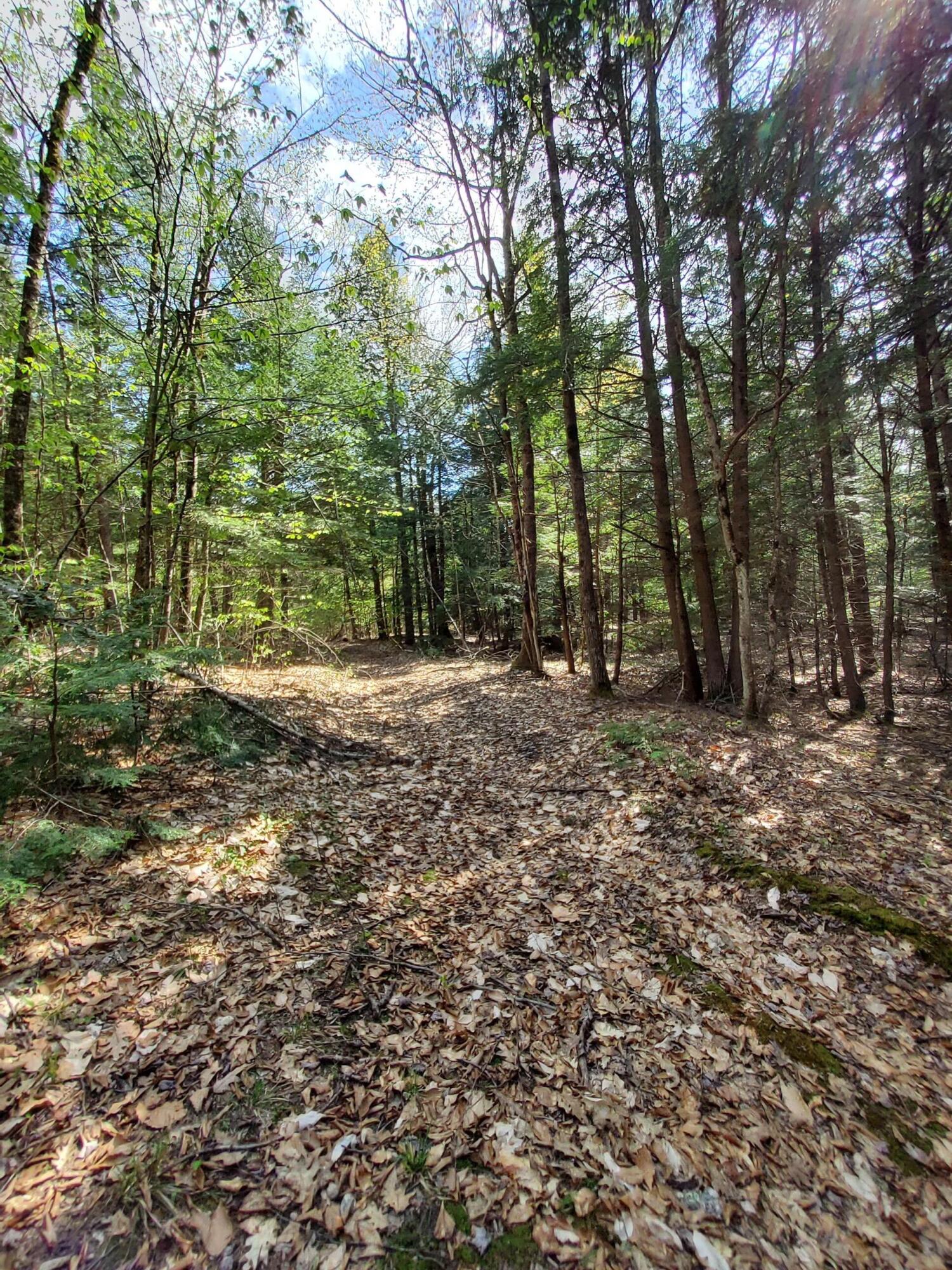 1729 Federal Road Livermore, ME 04253 - Photo 25 of 29
