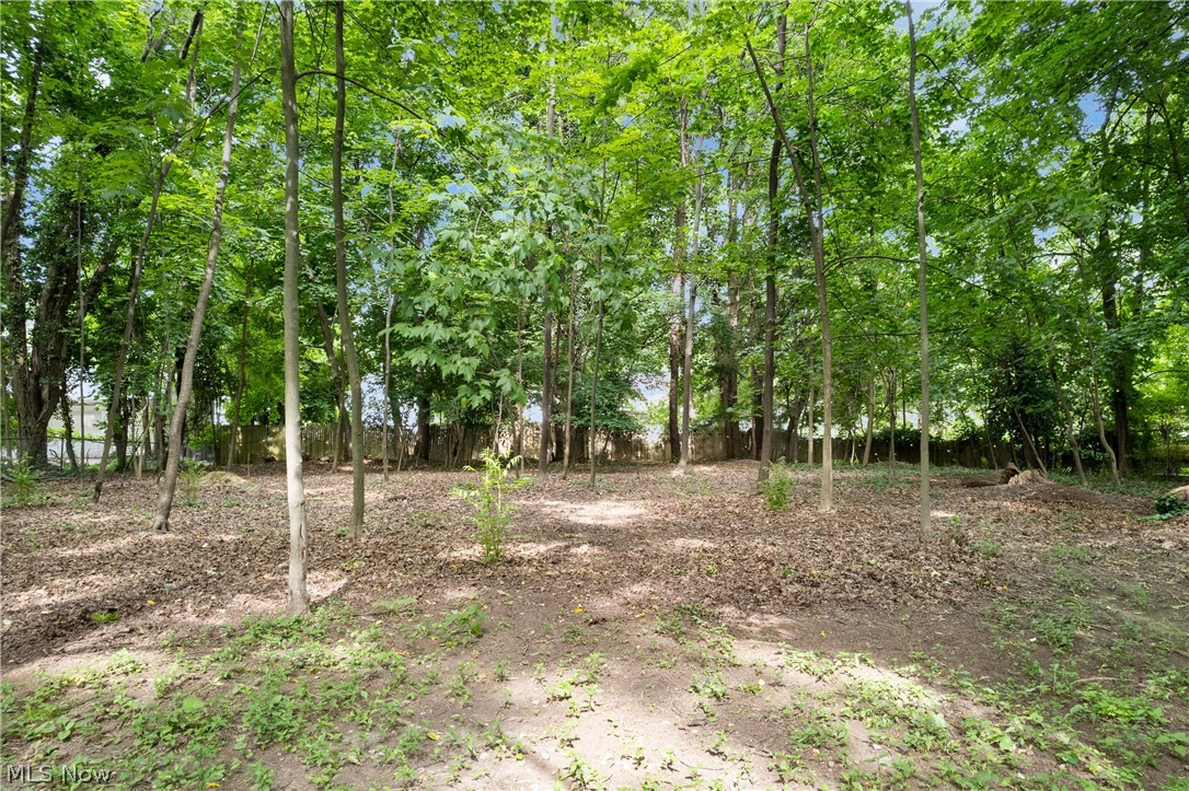 443 Merriman Road Akron, OH 44303 - Photo 39 of 44 Wooded lot featuring mature trees and partial ground cover