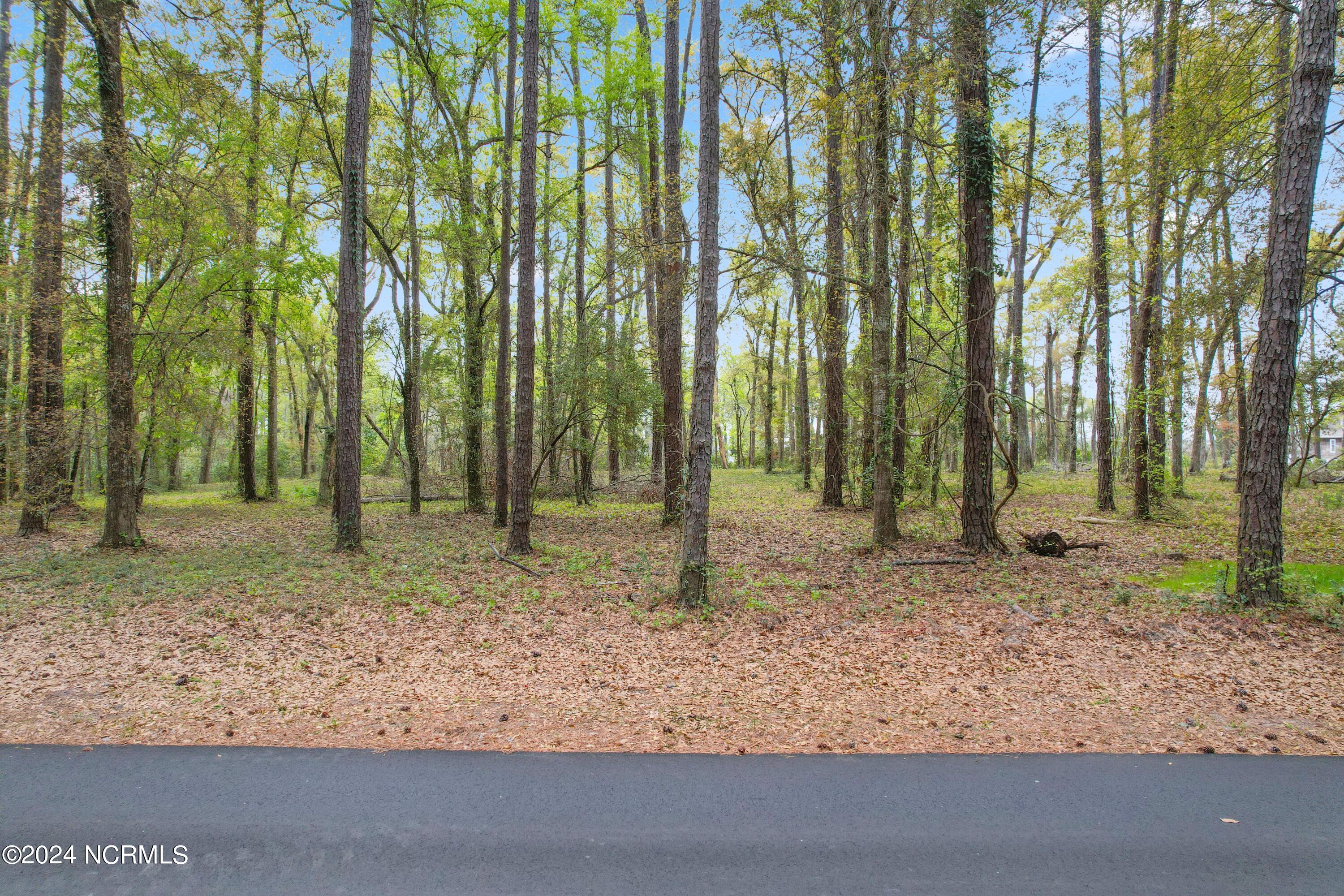 Almost 1/2 Acre Homesite