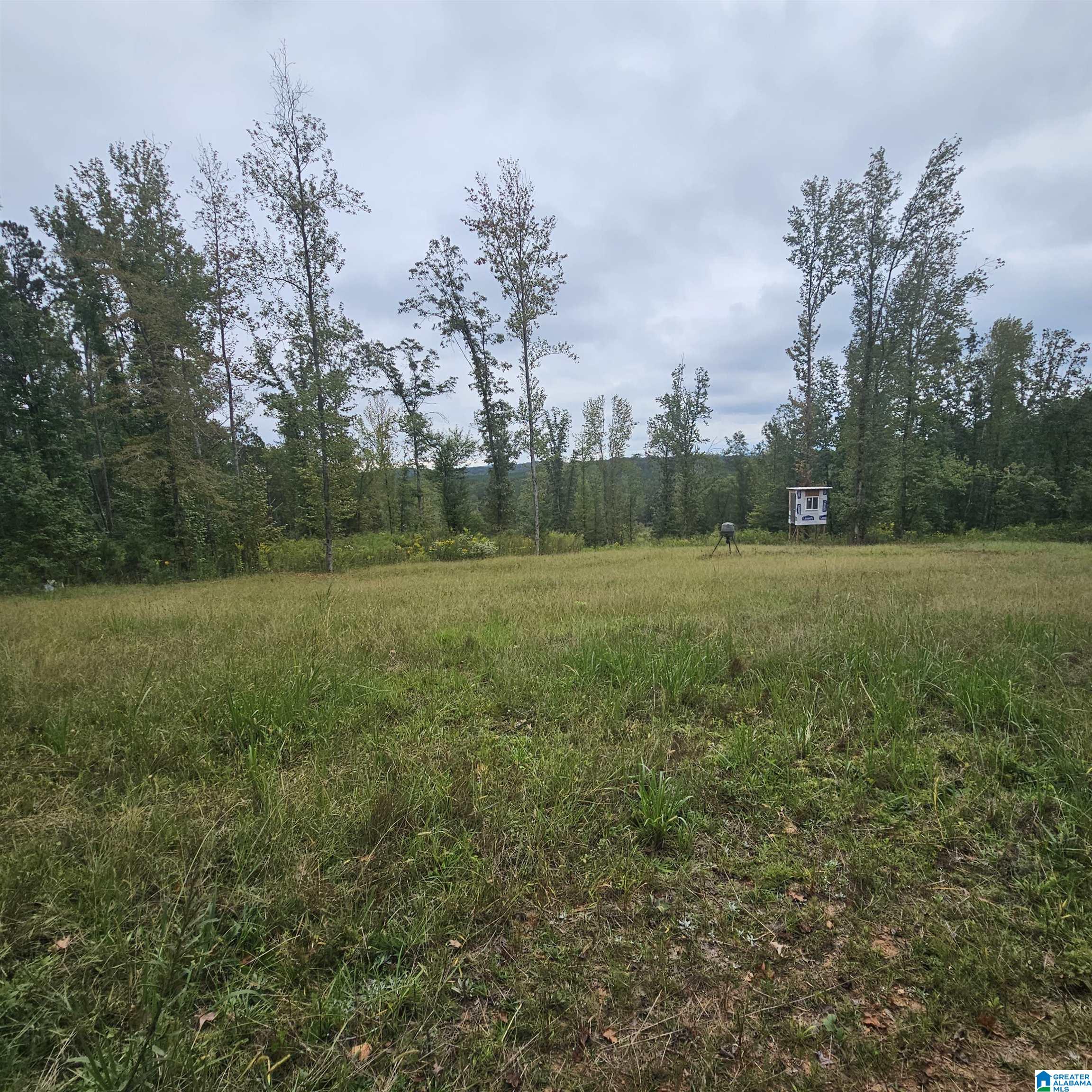 1395 Camp Creek Road Cropwell, AL 35054 - Photo 3 of 16