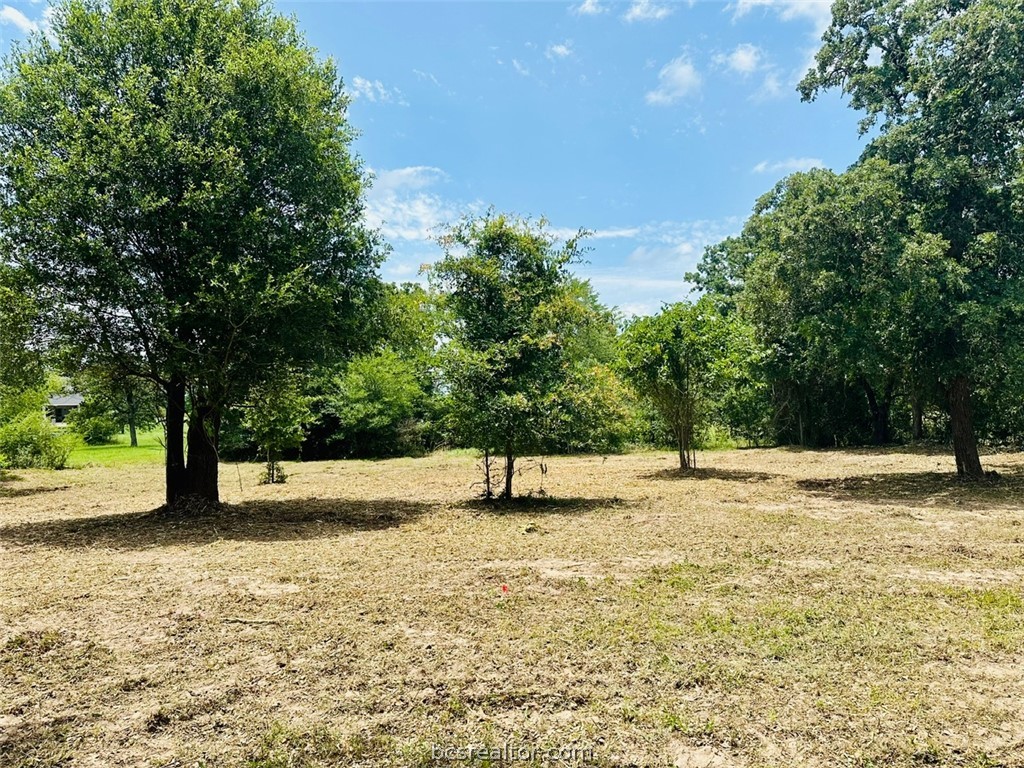 9805 Durham Road Iola, TX 77861 - Photo 8 of 19