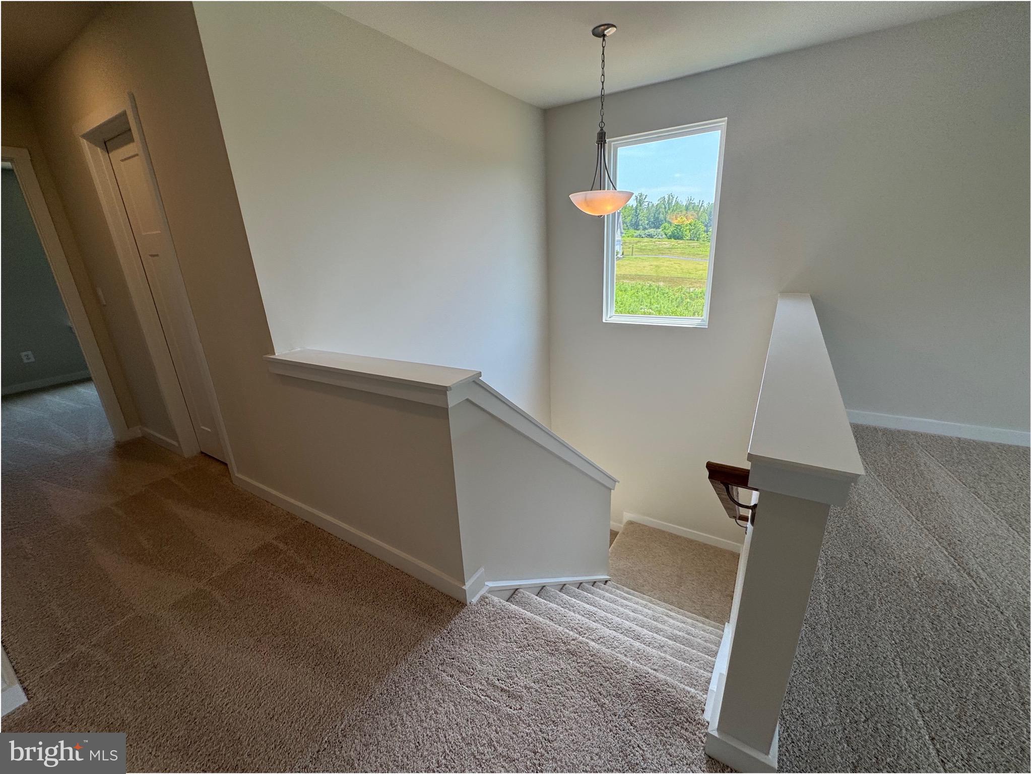 9117 Bell Mare Lane Rixeyville, VA 22737 - Photo 20 of 39