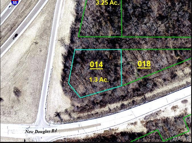 0 New Douglas Road Staunton, IL 62088 - Photo 1 of 1