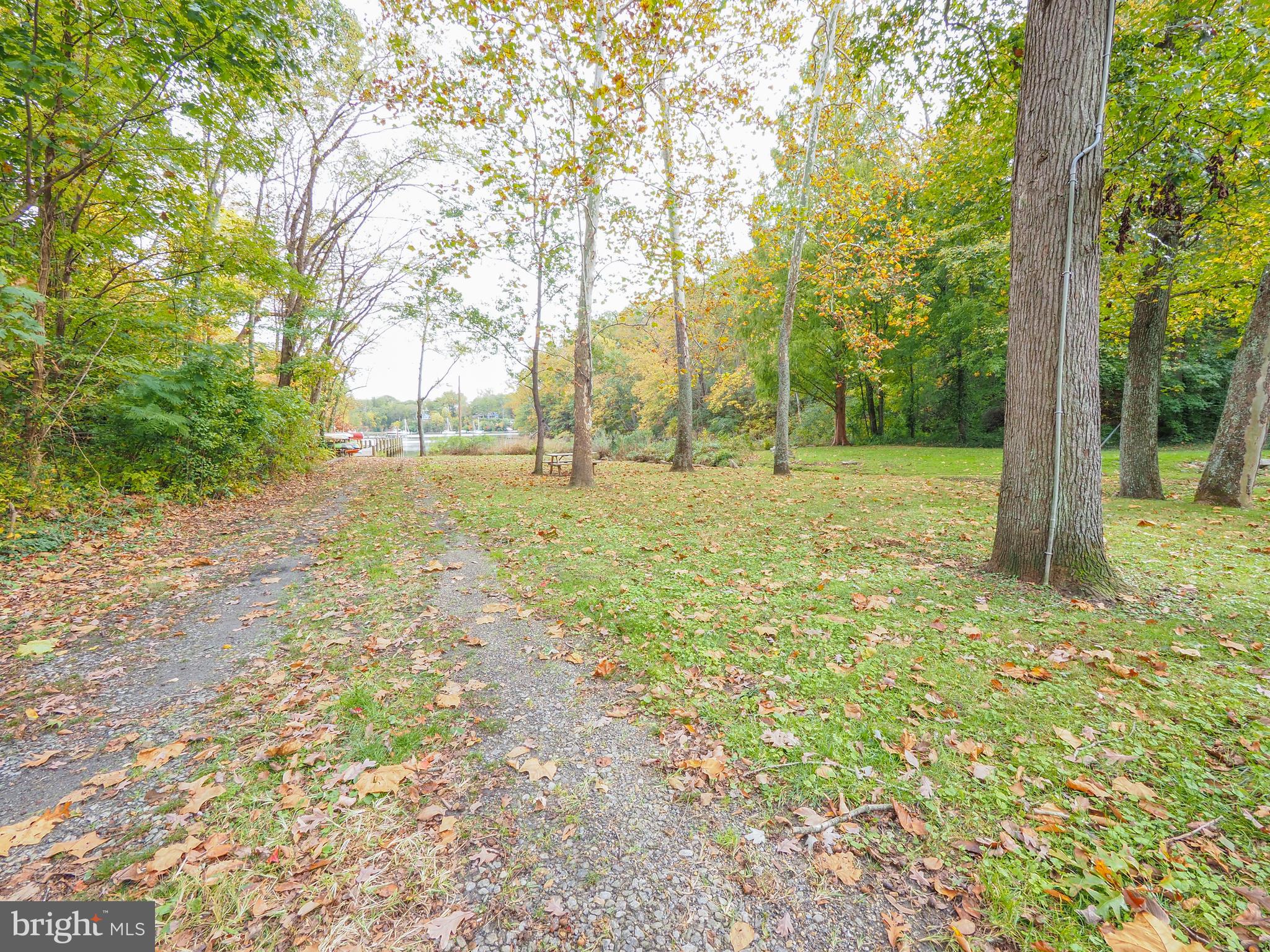 504 Tulip Road Riva, MD 21140 - Photo 50 of 60 Forest Park a short walk down the road