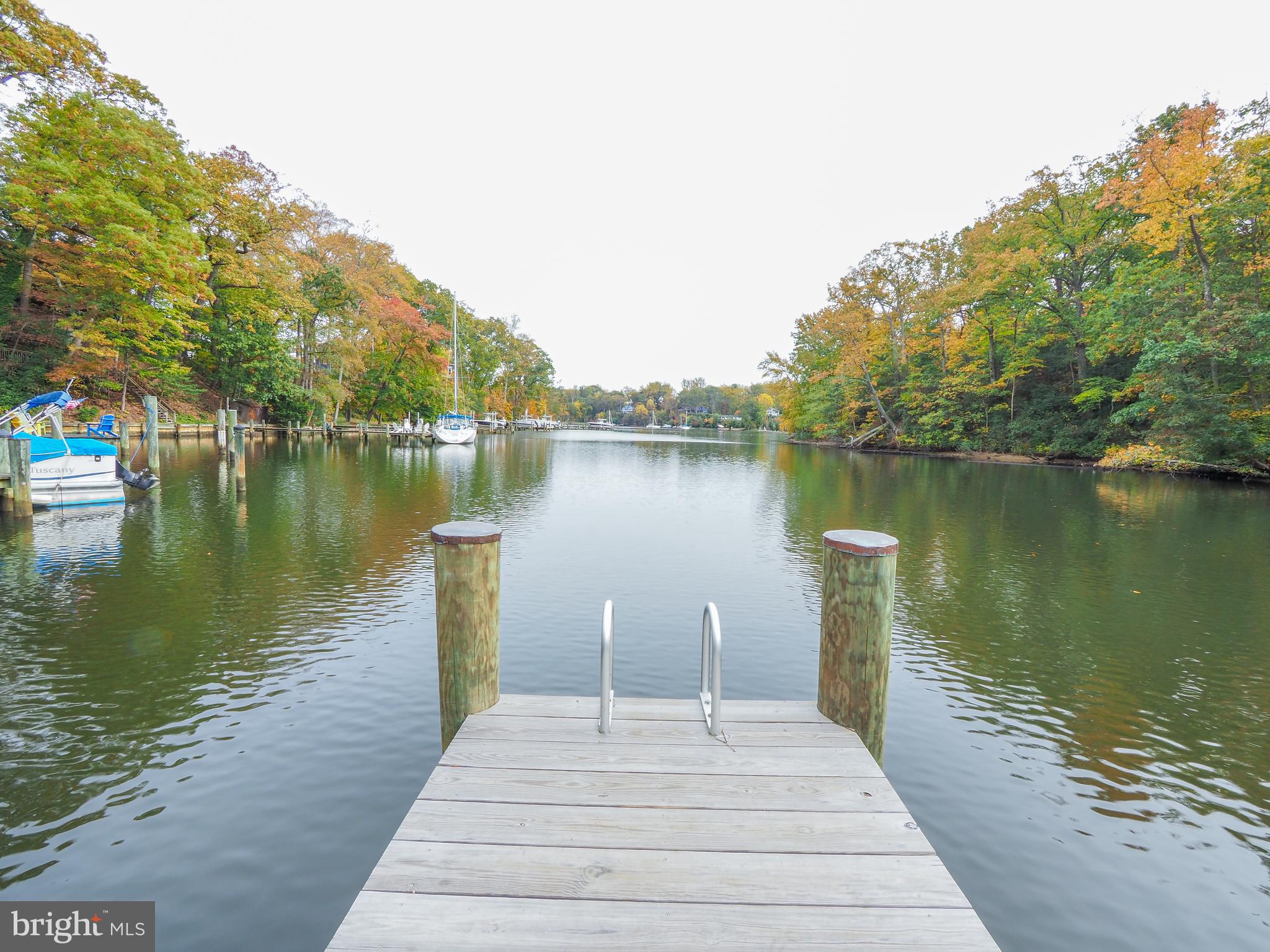 504 Tulip Road Riva, MD 21140 - Photo 54 of 60 Swim ladder