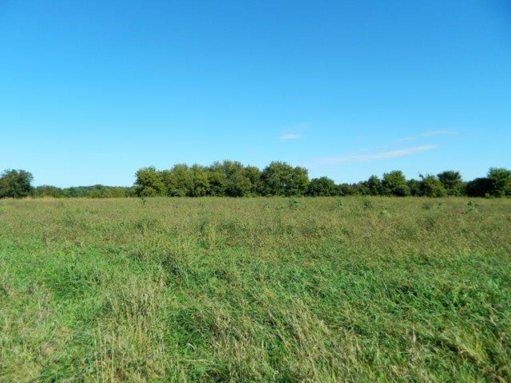 0 160th Street Frederic, WI 54837 - Photo 1 of 1 Gallery Image 1