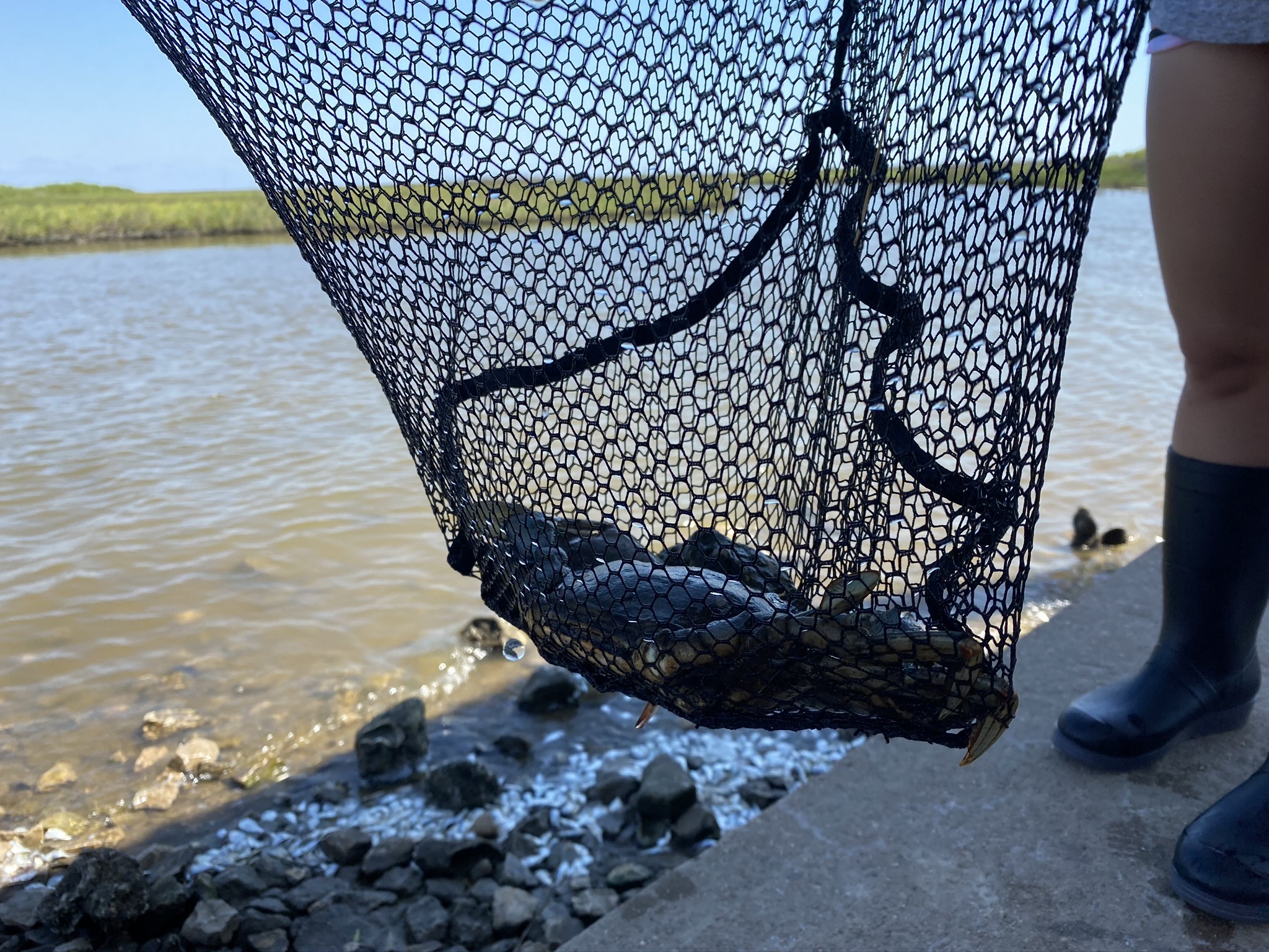 124 Howard Avenue, Unit D Surfside Beach, TX 77541 - Photo 37 of 50 a view of entryway with wooden fence