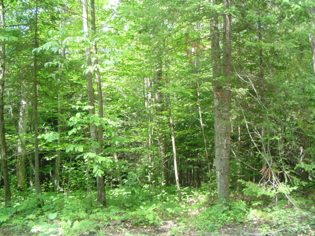 T/b/d Cedar Dell Road Ellison Bay, WI 54210 - Photo 1 of 4
