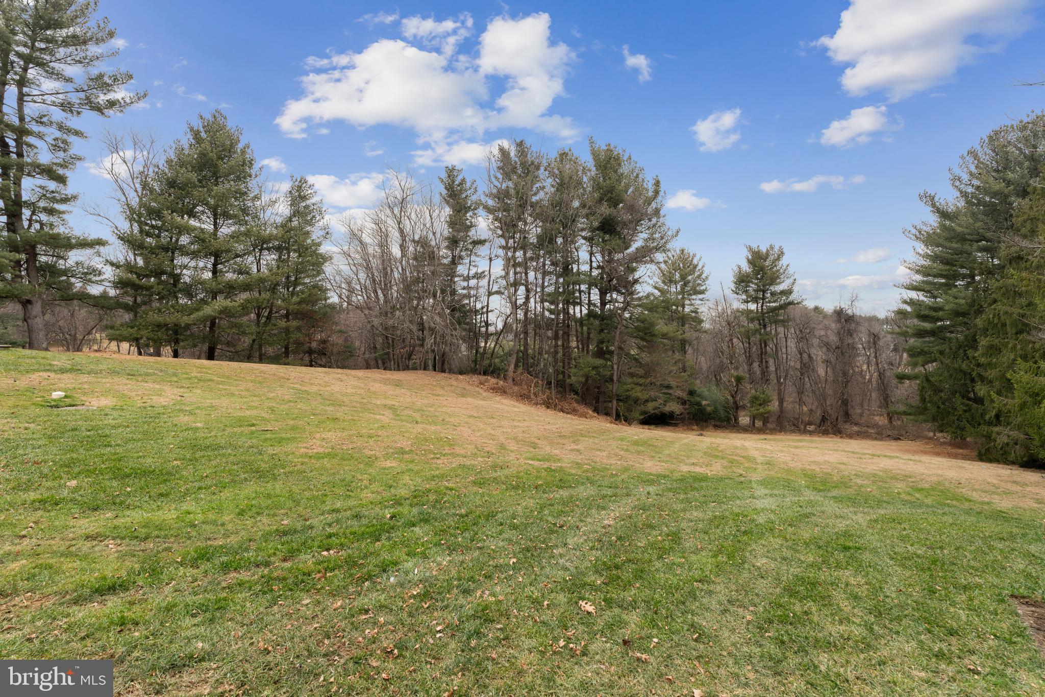 4406 Old Farm Road Baldwin, MD 21013 - Photo 45 of 49 a view of a yard with a house