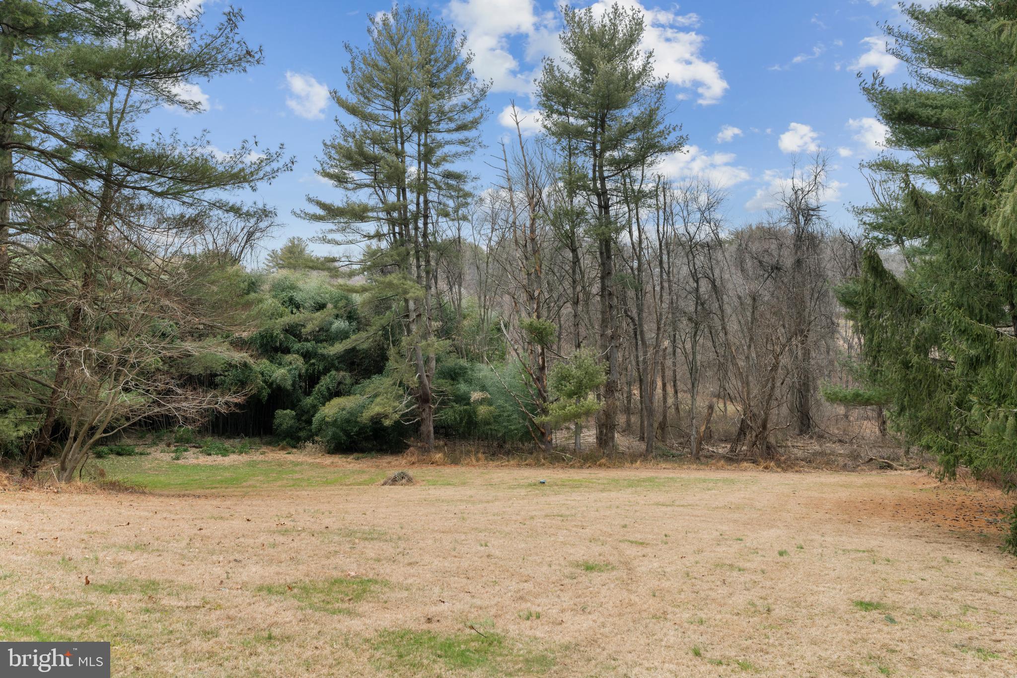 4406 Old Farm Road Baldwin, MD 21013 - Photo 46 of 49 a view of backyard with outdoor space