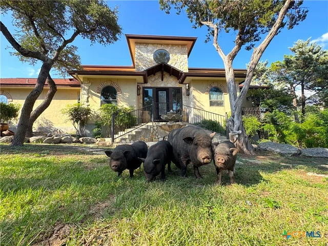 $4,000 | 2000 Village Oak, Canyon Lake, TX 78133