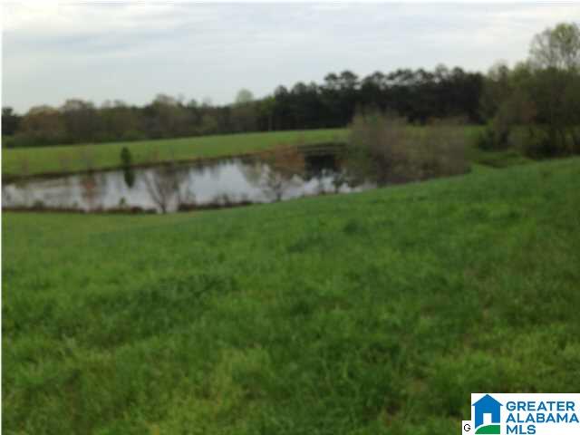 3553 Boat Landing Road Oneonta, AL 35121 - Photo 8 of 27