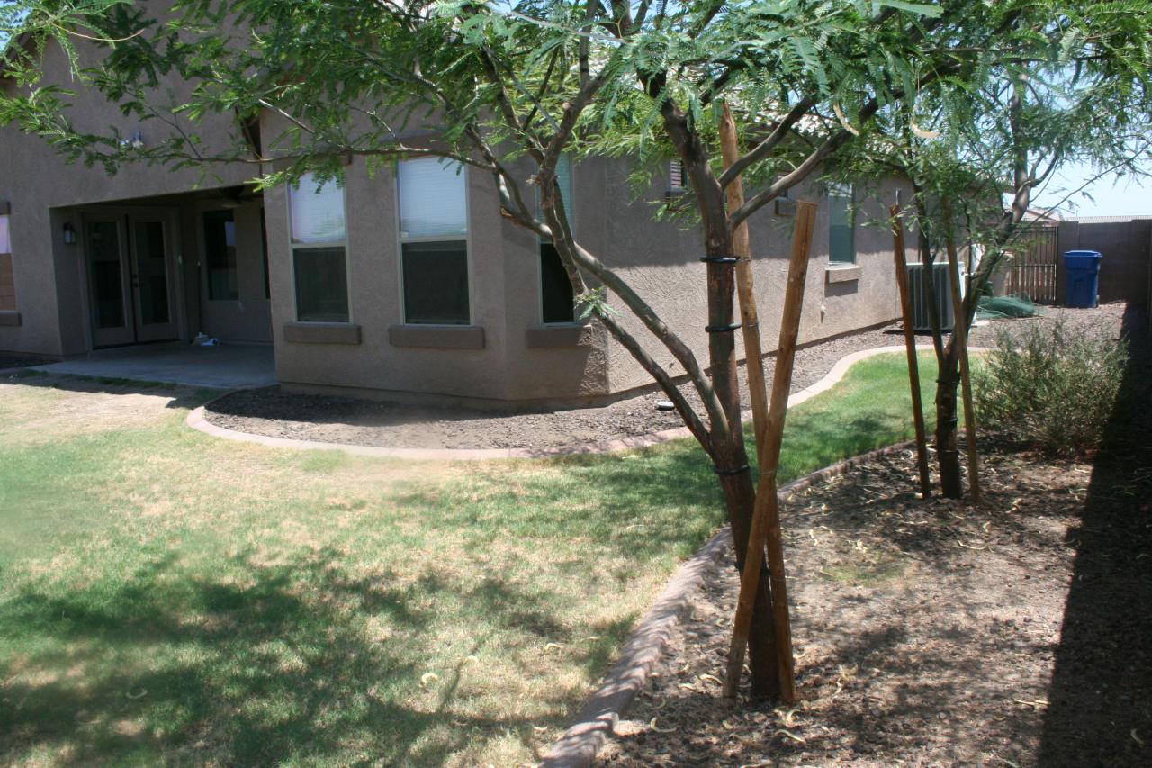 25618 West Ripple Road Buckeye, AZ 85326 - Photo 19 of 20 Alternate view of Back yard