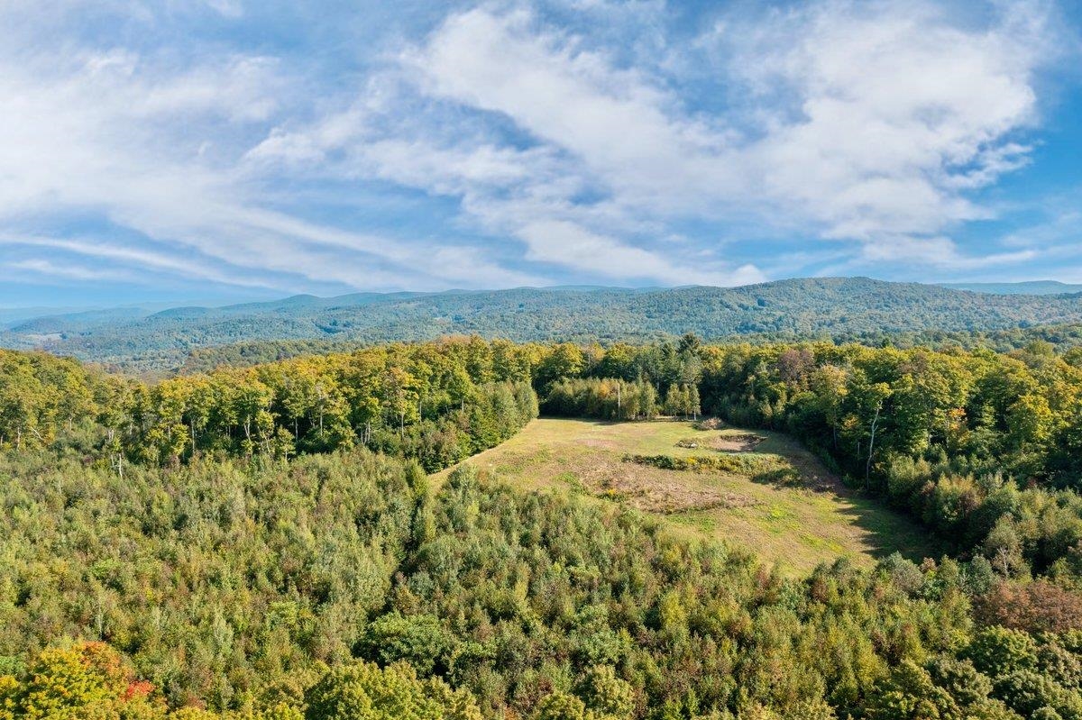 90 Sawyer Hill Road Tunbridge, VT 05077 - Photo 8 of 28 Gallery Image 8