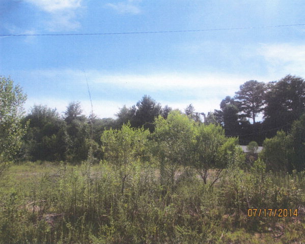 6025 Harrison Road Macon, GA 31206 - Photo 1 of 2 a view of a city with lush green forest