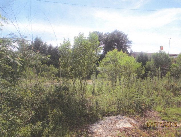 6025 Harrison Road Macon, GA 31206 - Photo 2 of 2 a view of a yard