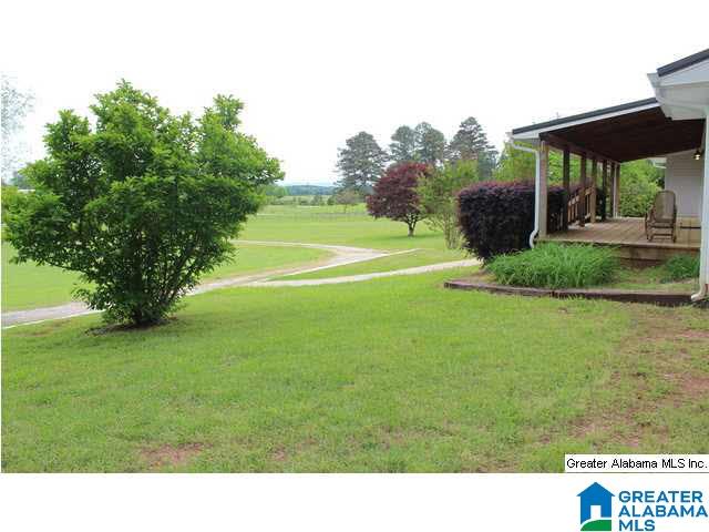 1211 Airport Road Eastaboga, AL 36260 - Photo 4 of 32