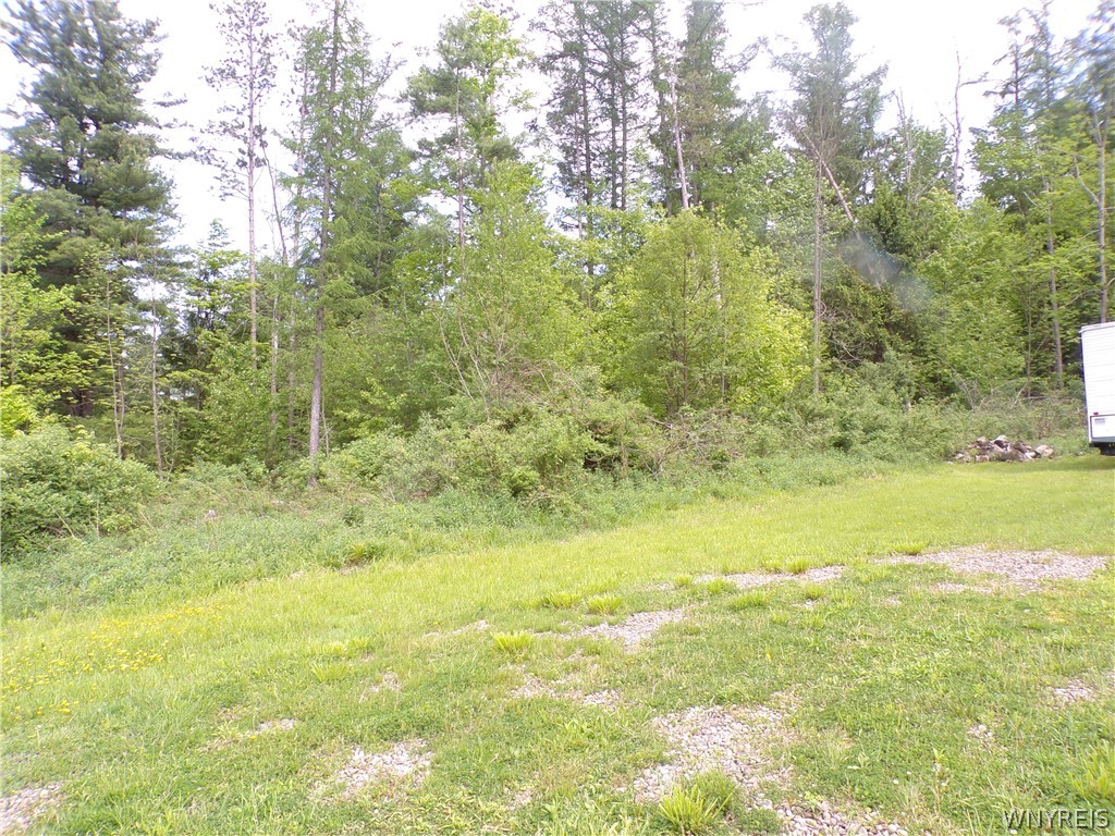 Farnsworth Road Cuba, NY 14727 - Photo 3 of 15